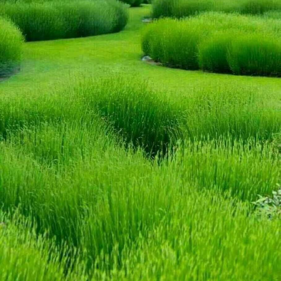 顺风顺水