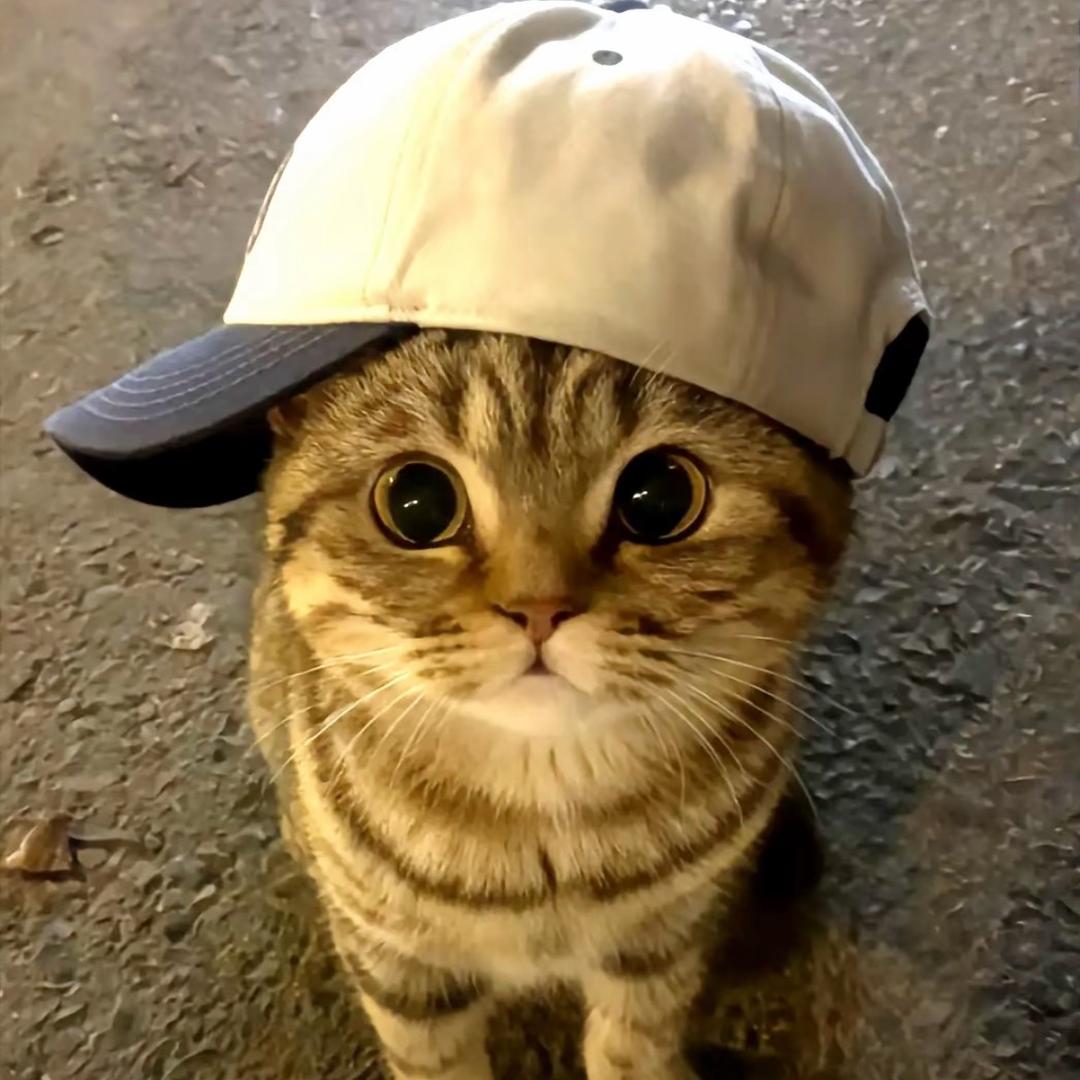 llllllllll