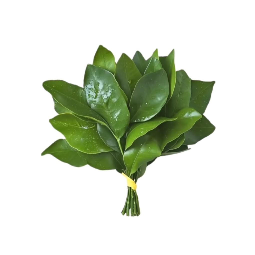 瑶瑶乐～