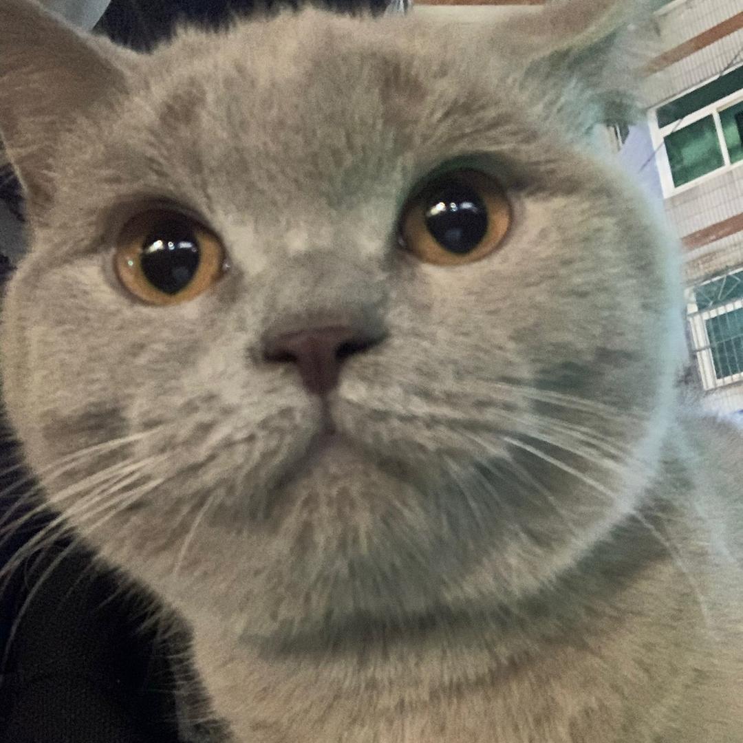 是多多呀。