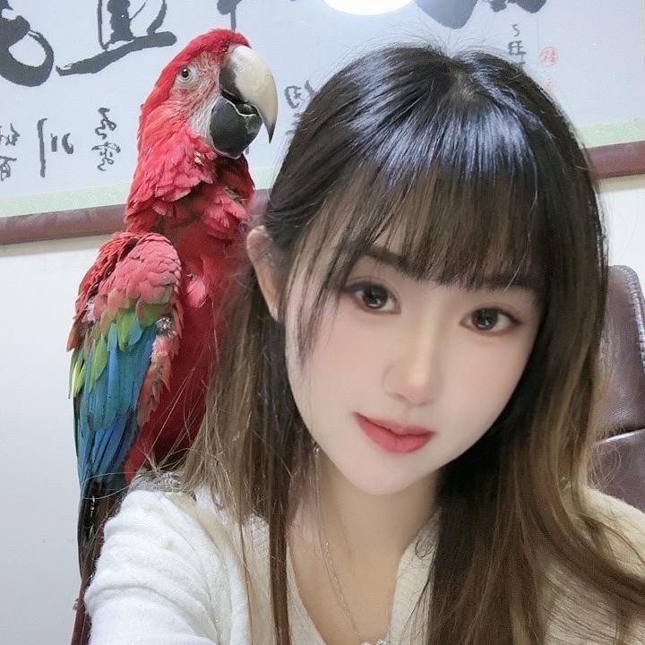 小鹦姐（聚鹦堂）
