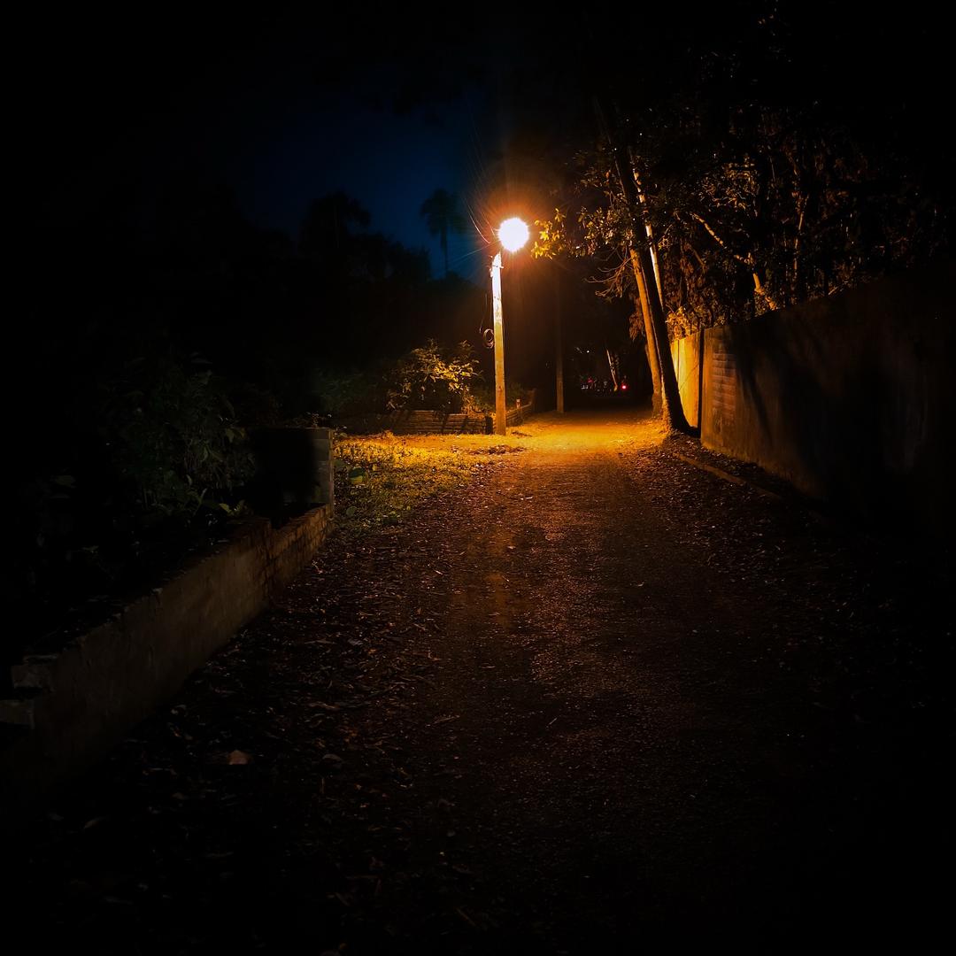 张·Zhangᥫᩣ先森