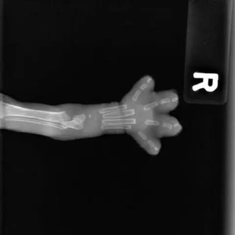 别看了真的什么都没有