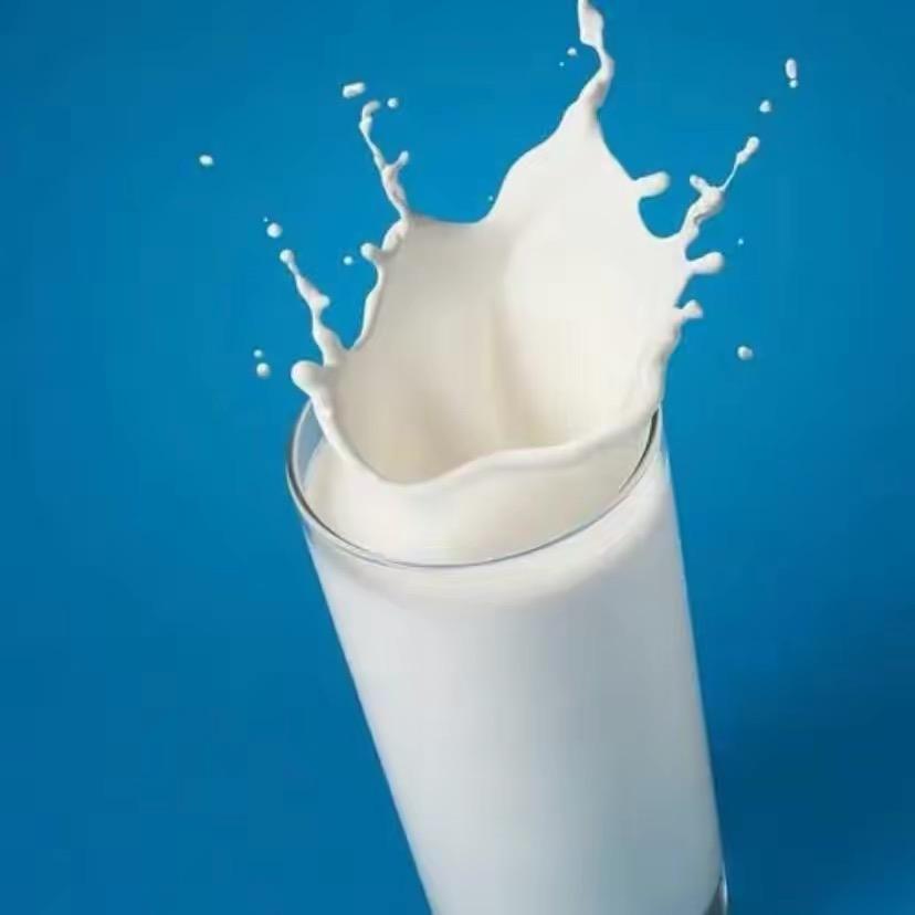 新鲜牛奶🥛