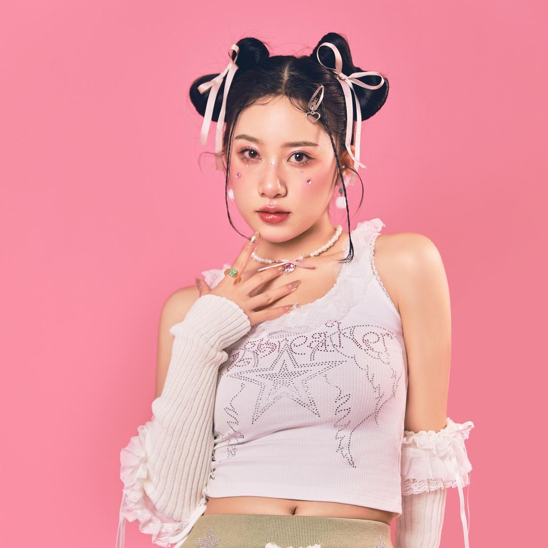 麦兜不鸽大动脉