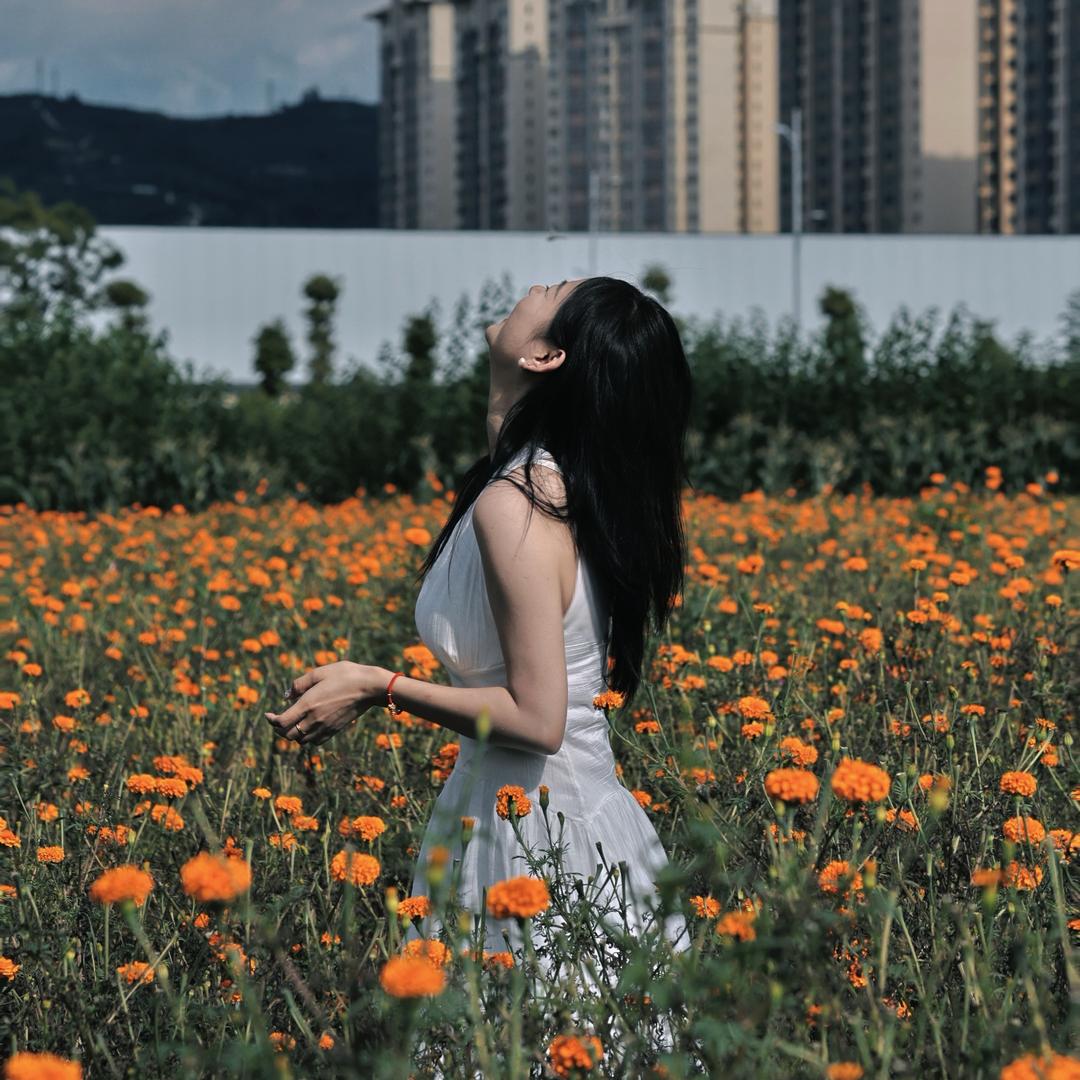 雾里聆风起🌬️
