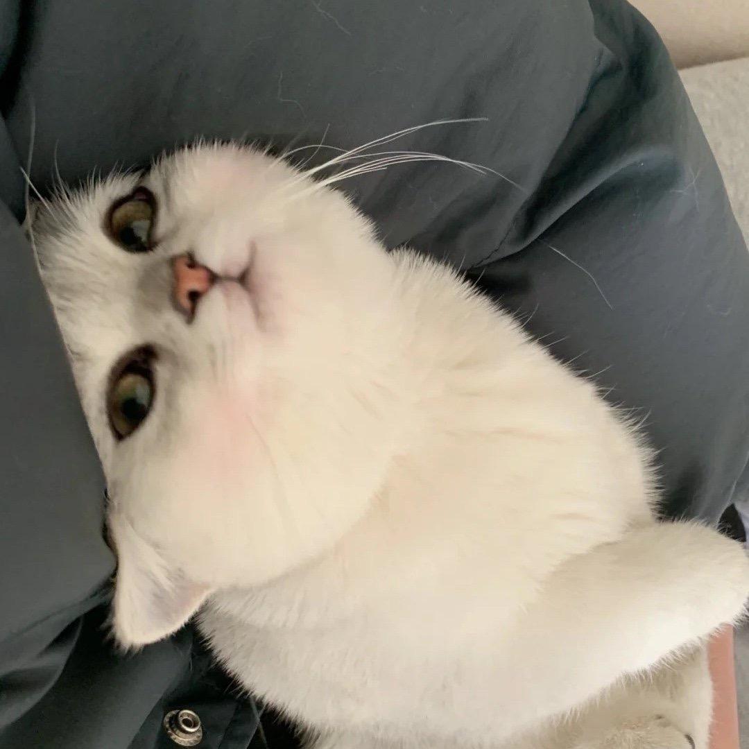 小舅子