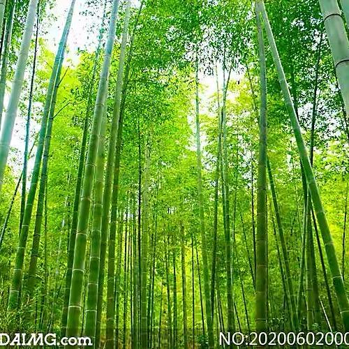 得之勿喜、失之勿忧