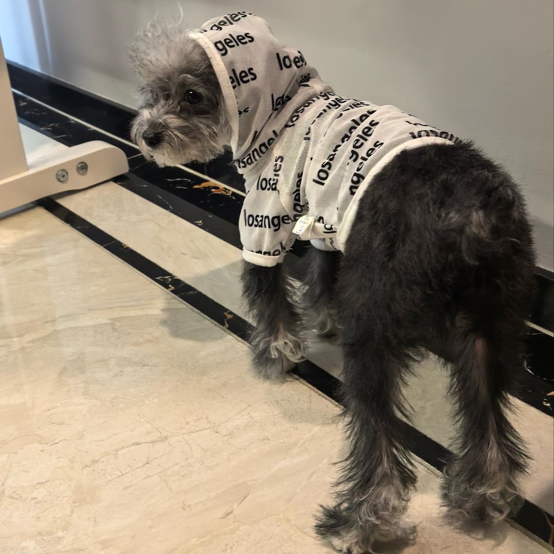 💫露露也有狗🦄