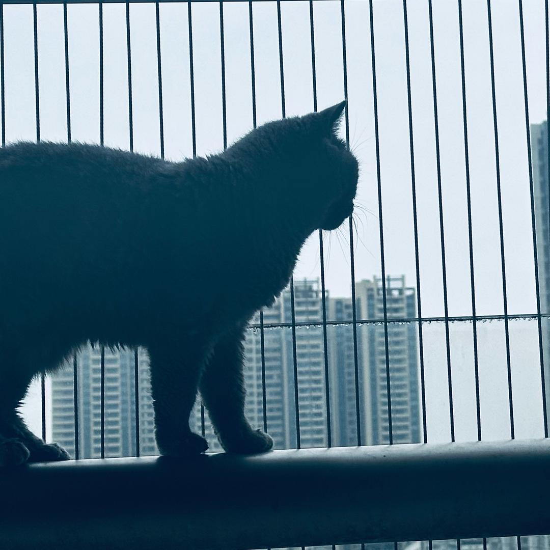 五三零ᵀˢᴴ