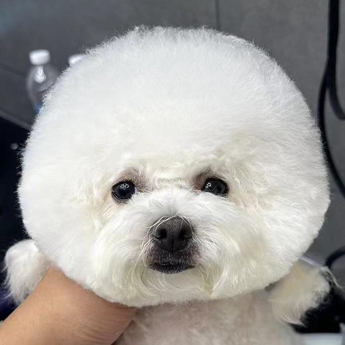 该你的昂？