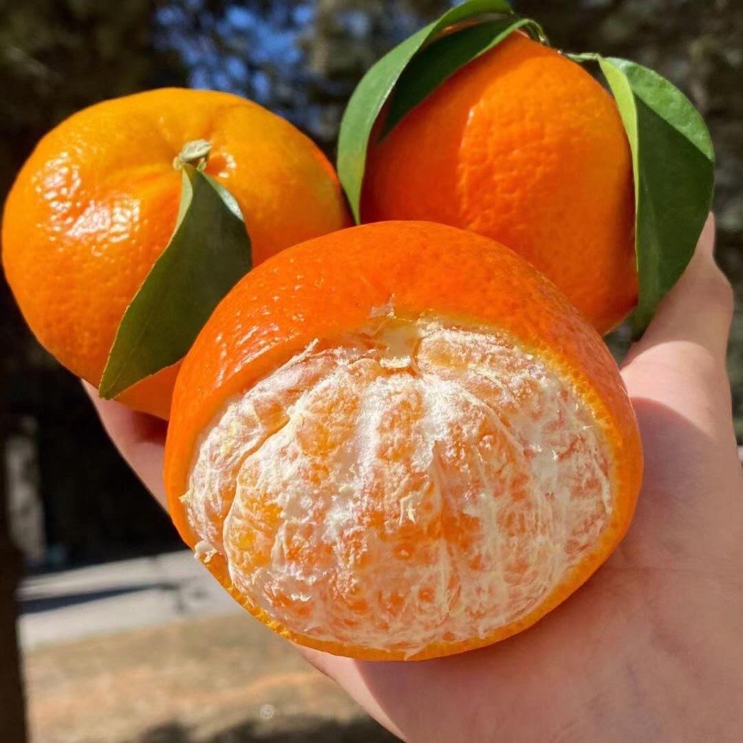 洋洋家生鲜批发