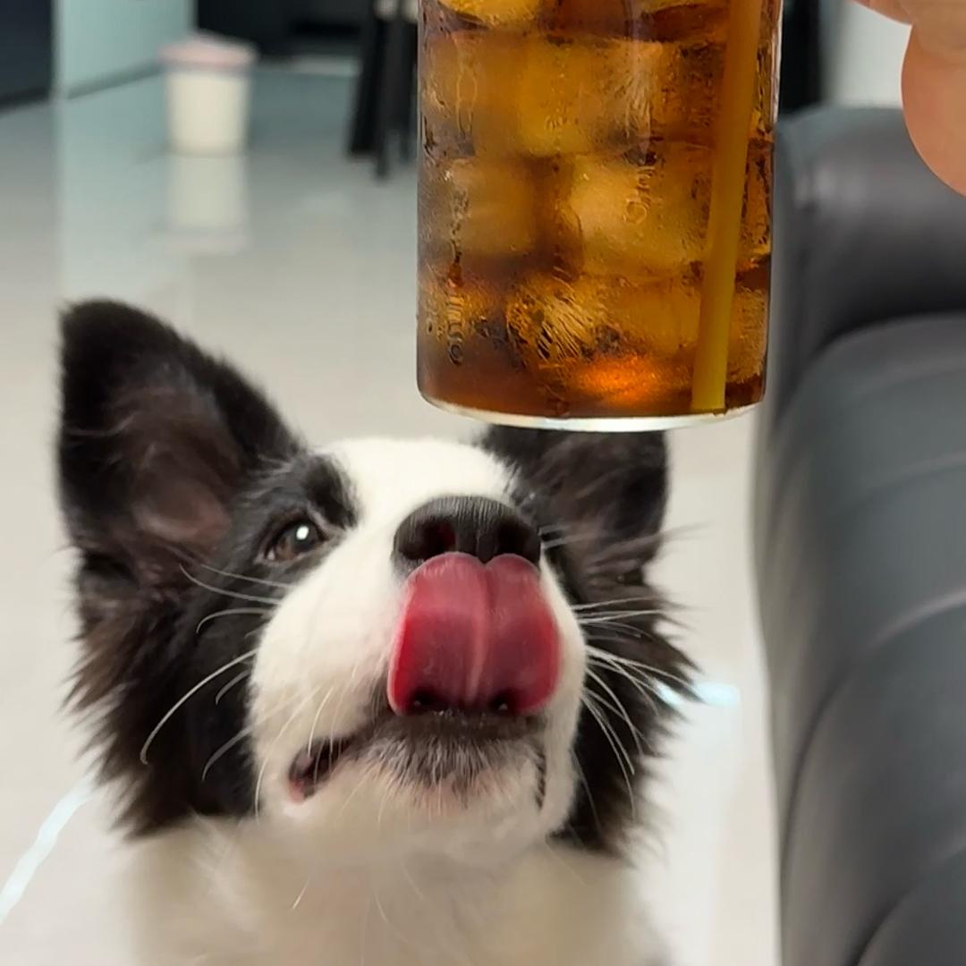 阿铁.