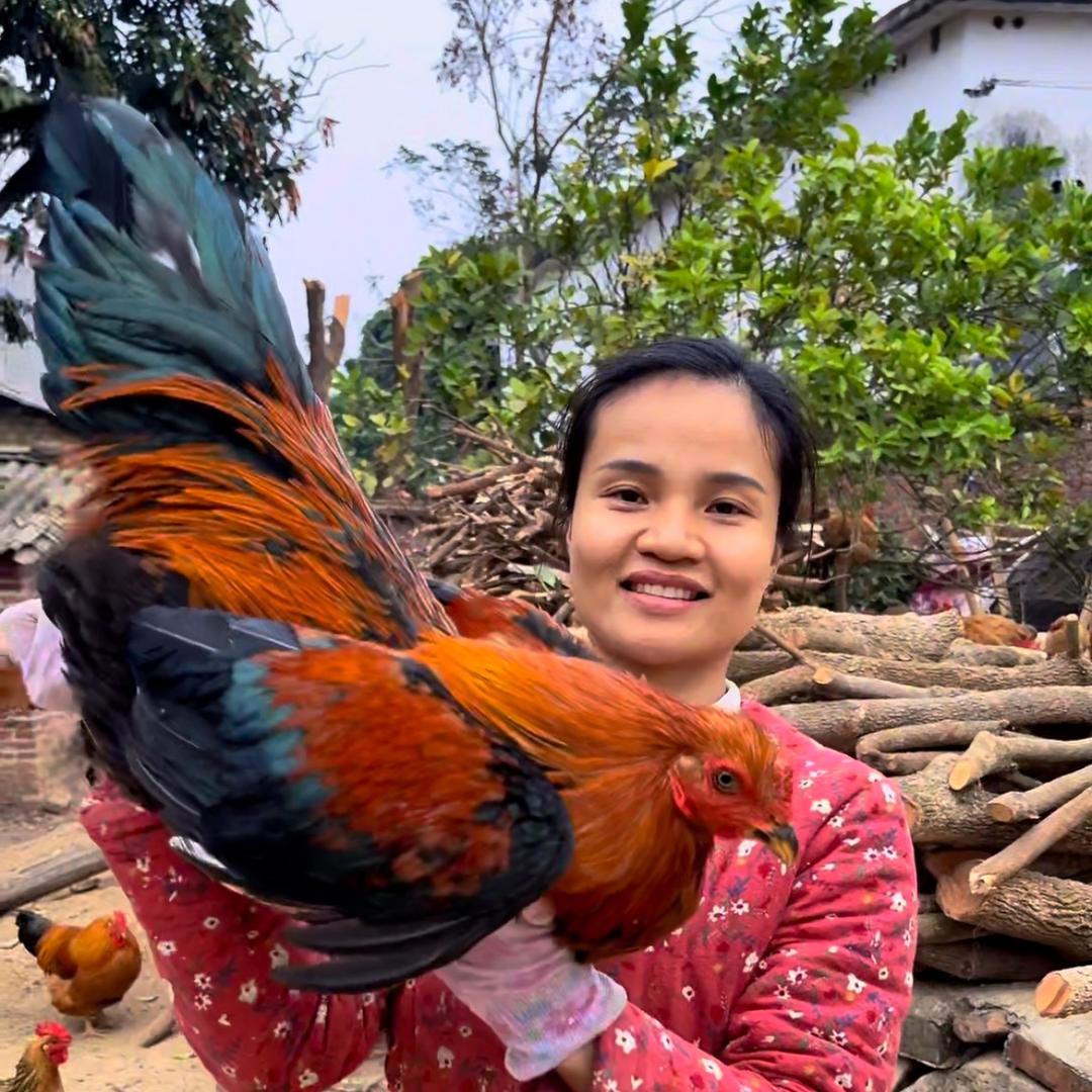 青妹农村土鸡