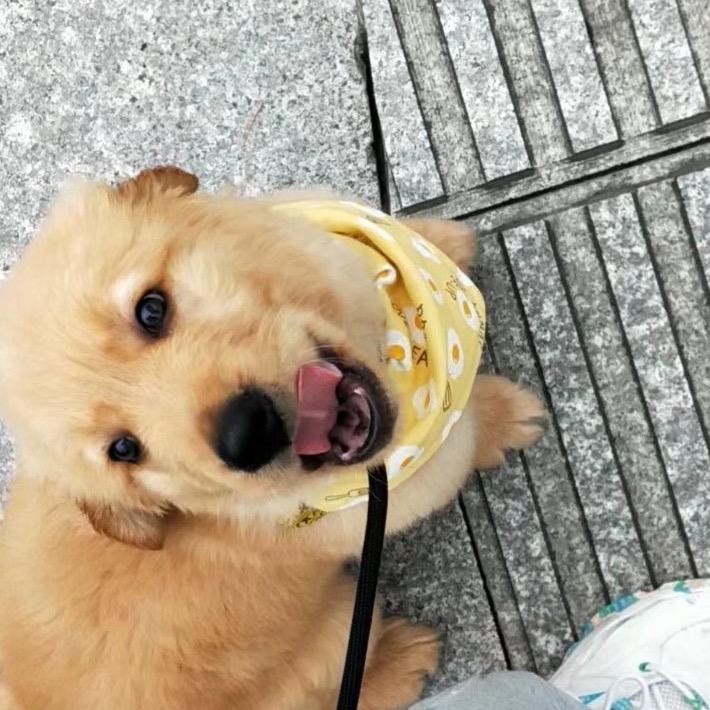 满天星