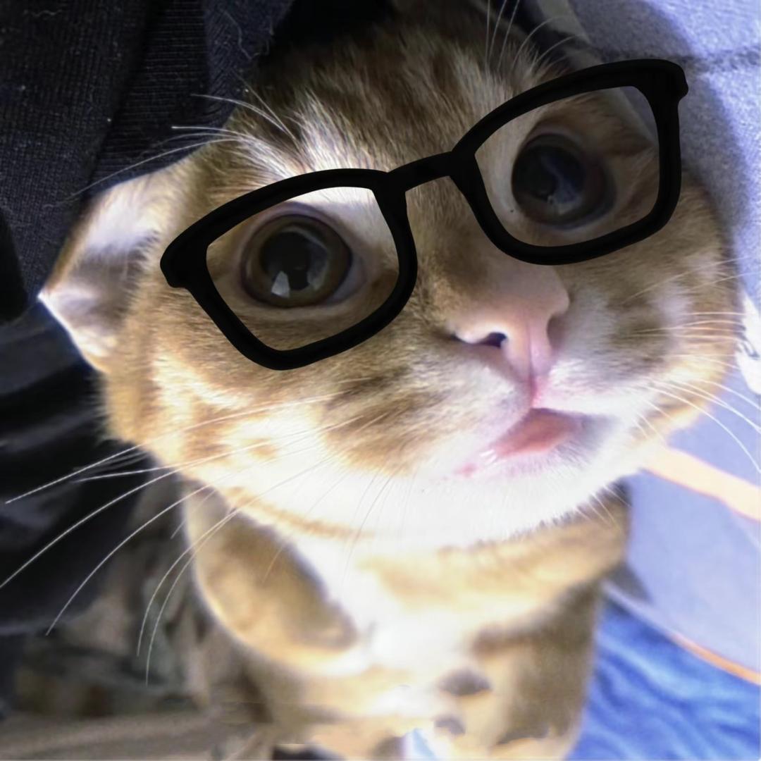 智多⭐你以为