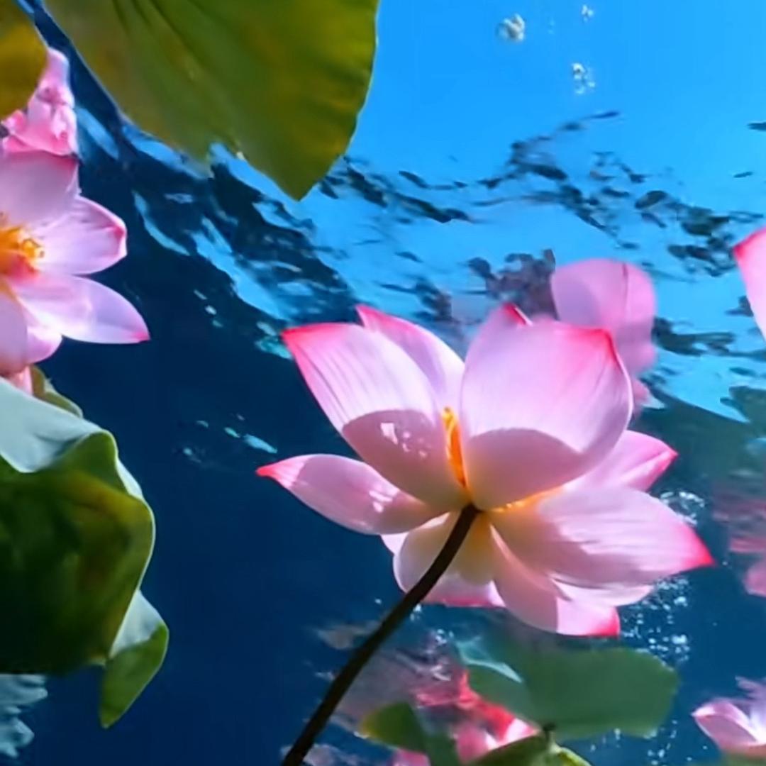 小鱼❤️