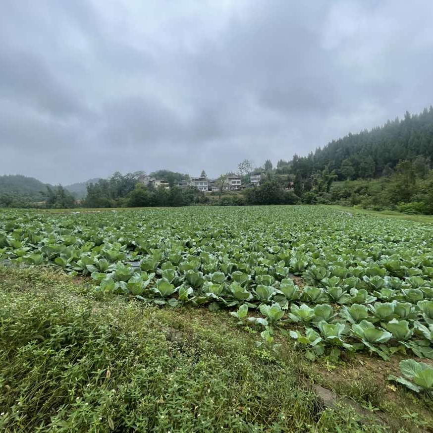 万天润农场生活