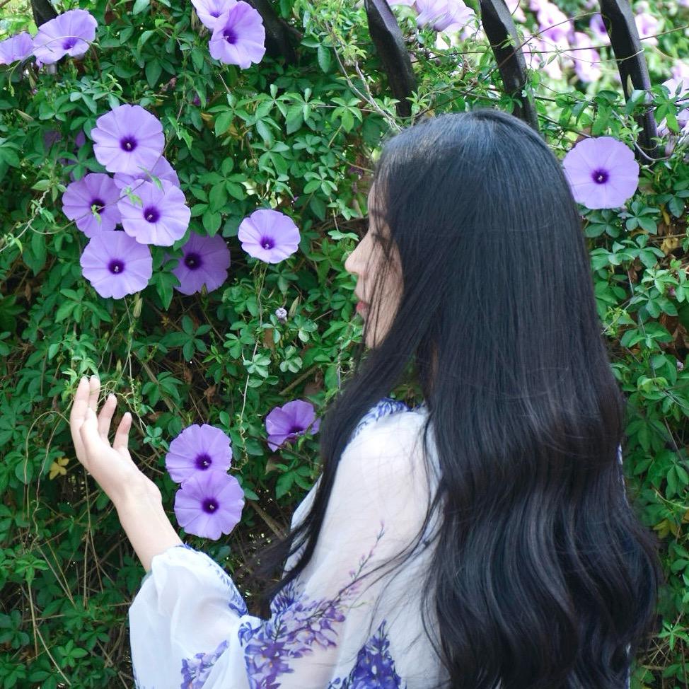 ⭐️胖