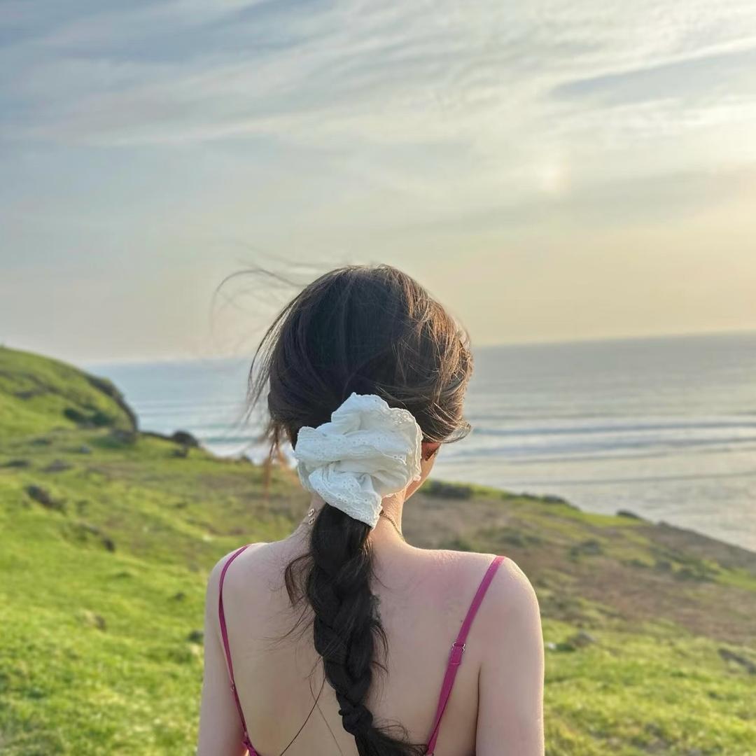 一只眠羊ˋˏᰔᩚ