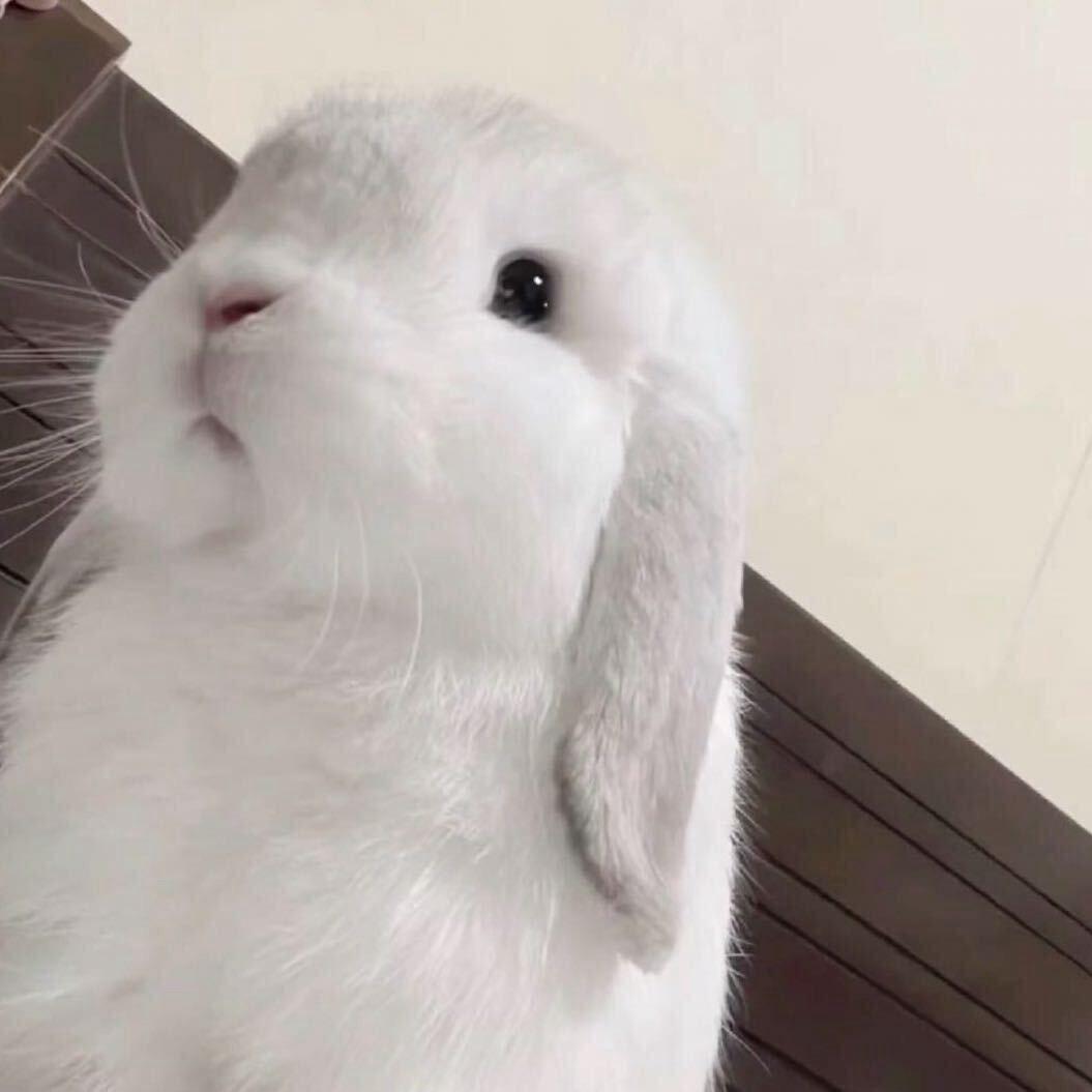 雨爱