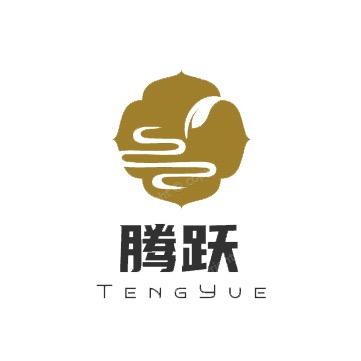 腾跃跳绳
