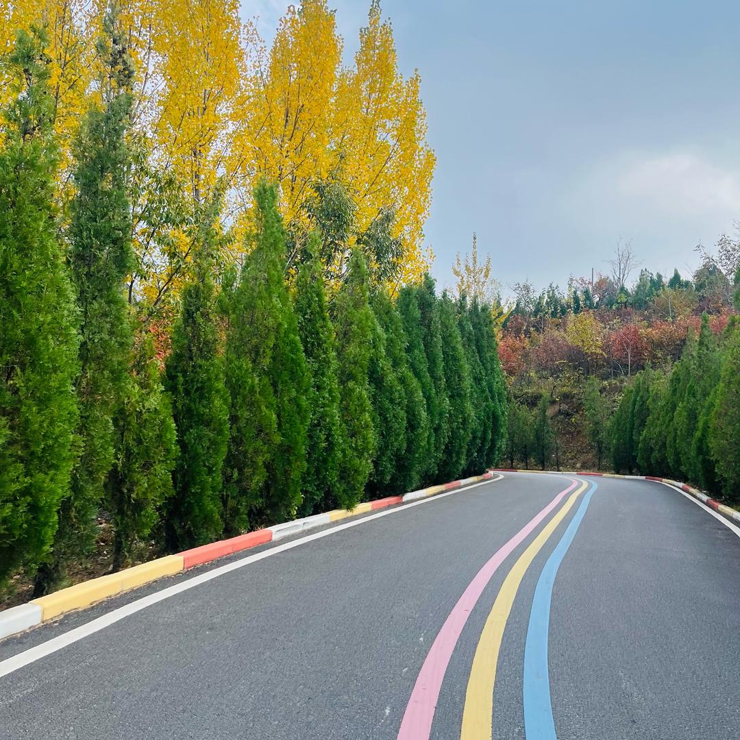 纸制品源头厂家