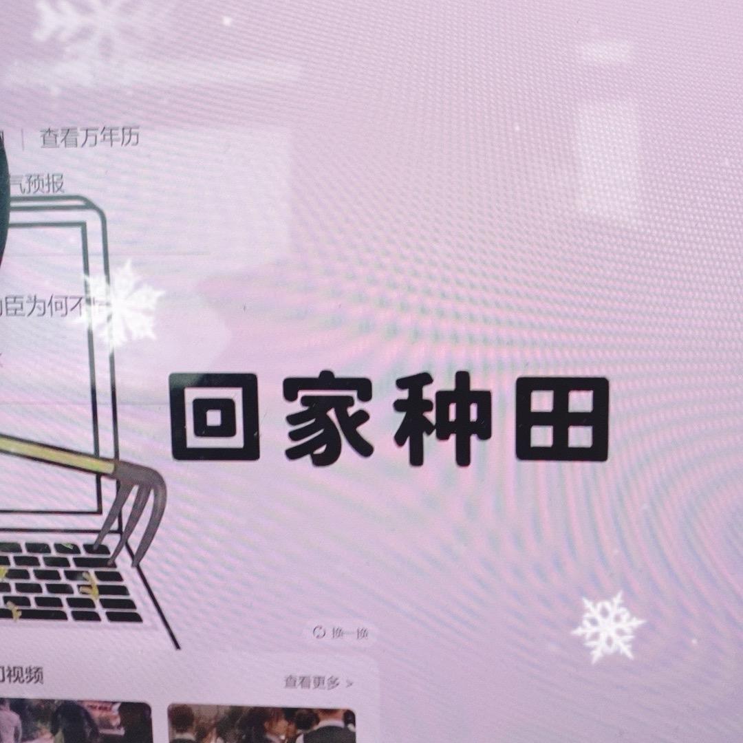 小猫来了