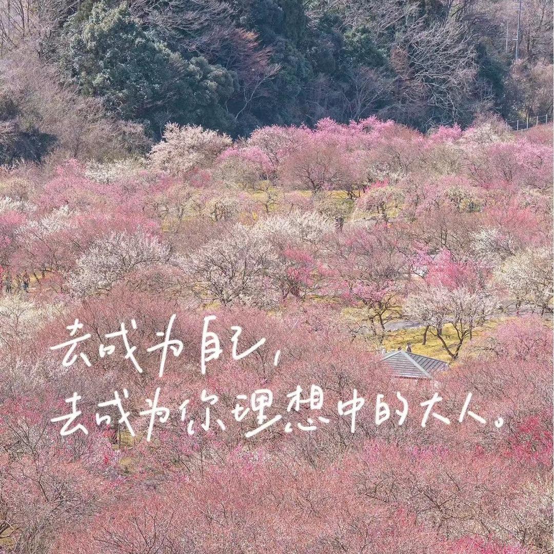月月