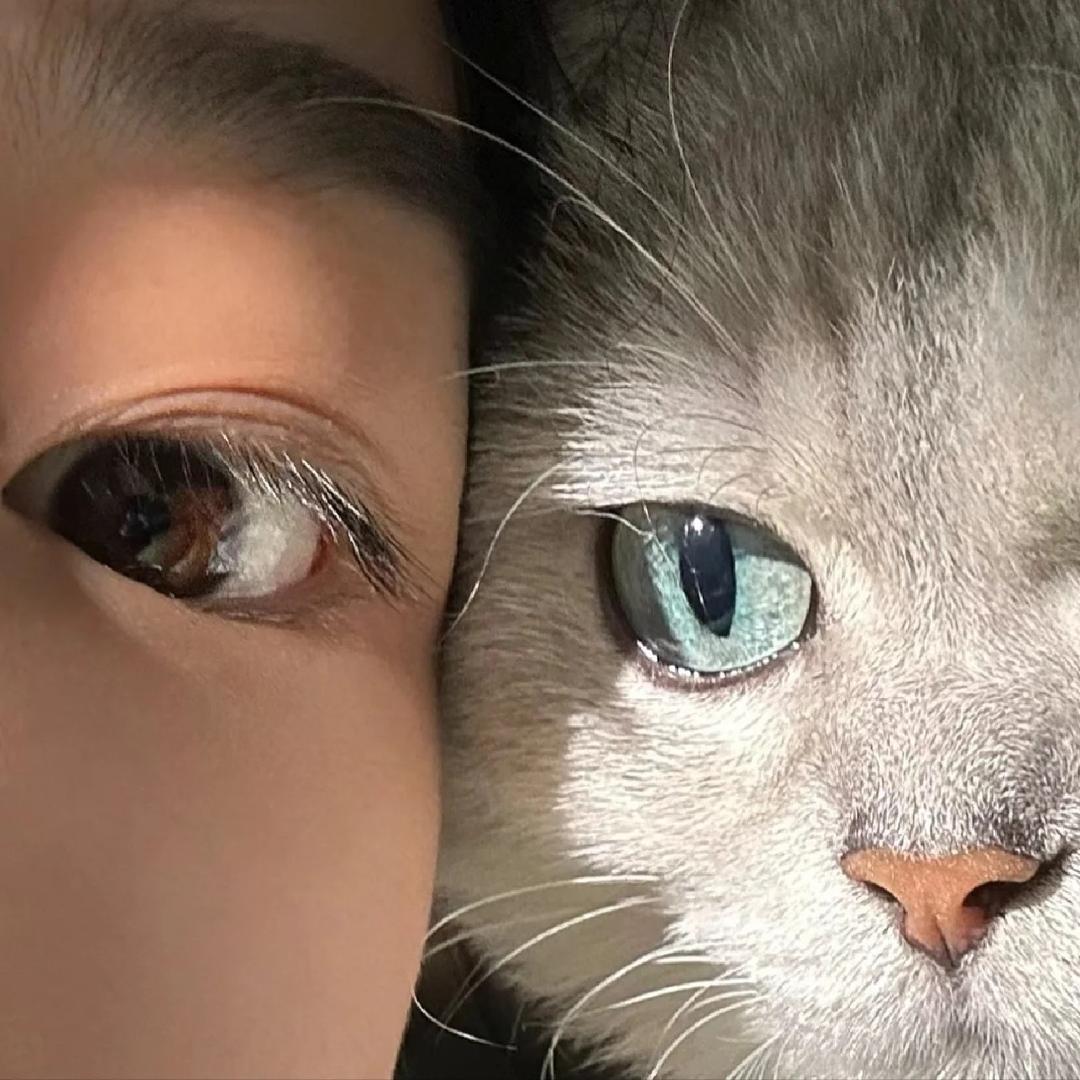 擦眼睛👀