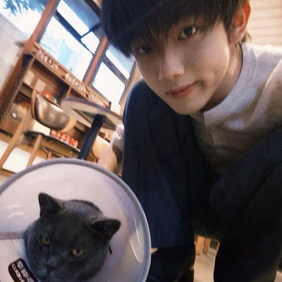 母猪的产后护理很重要