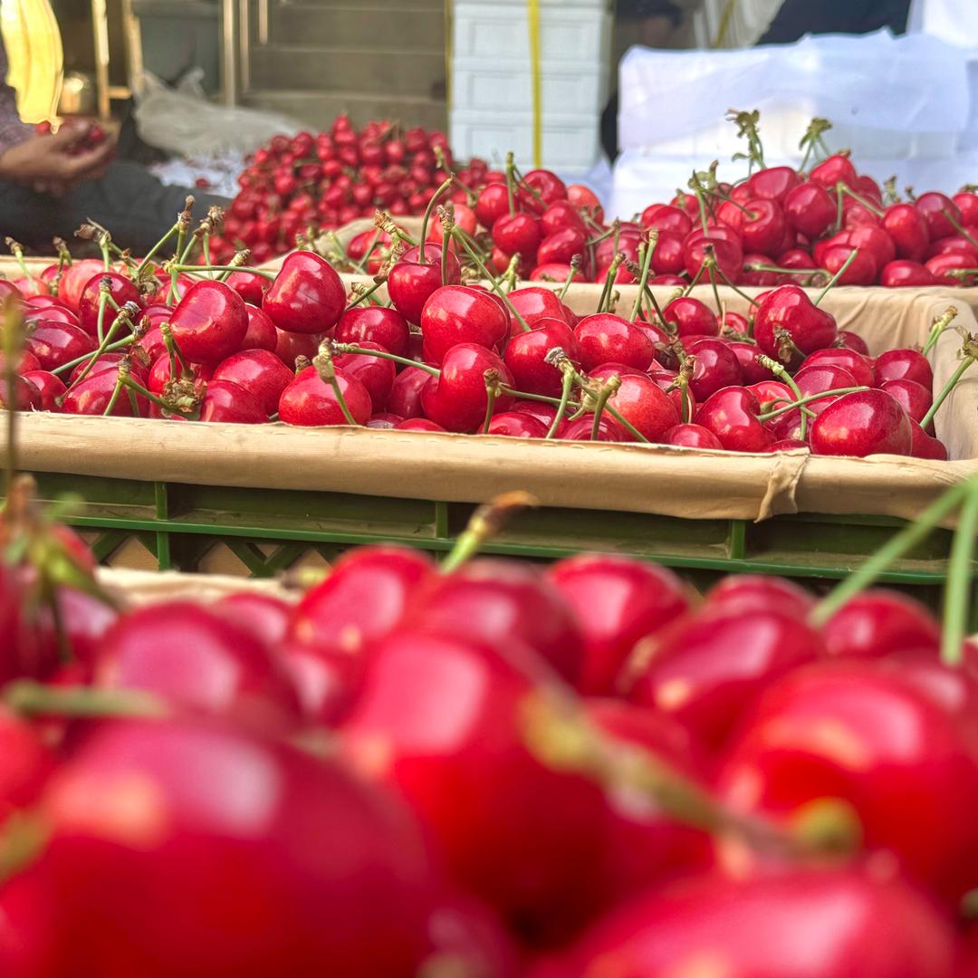 大白农场（大连樱桃熟了）