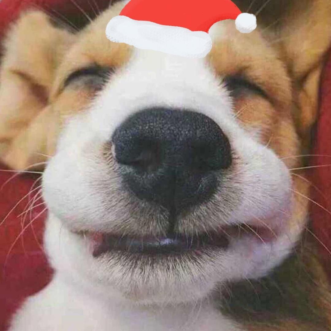 蓝