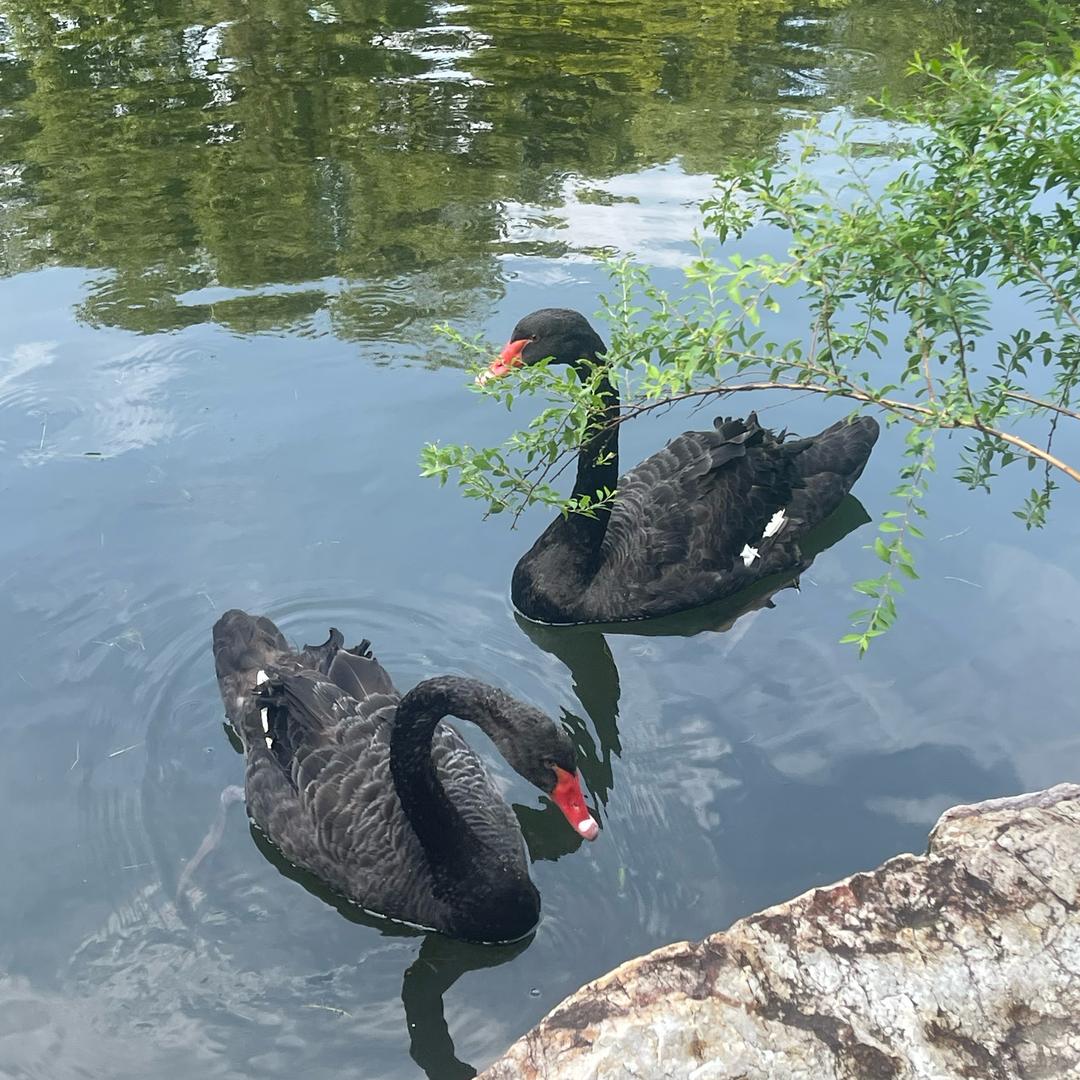 做人不要太孟三