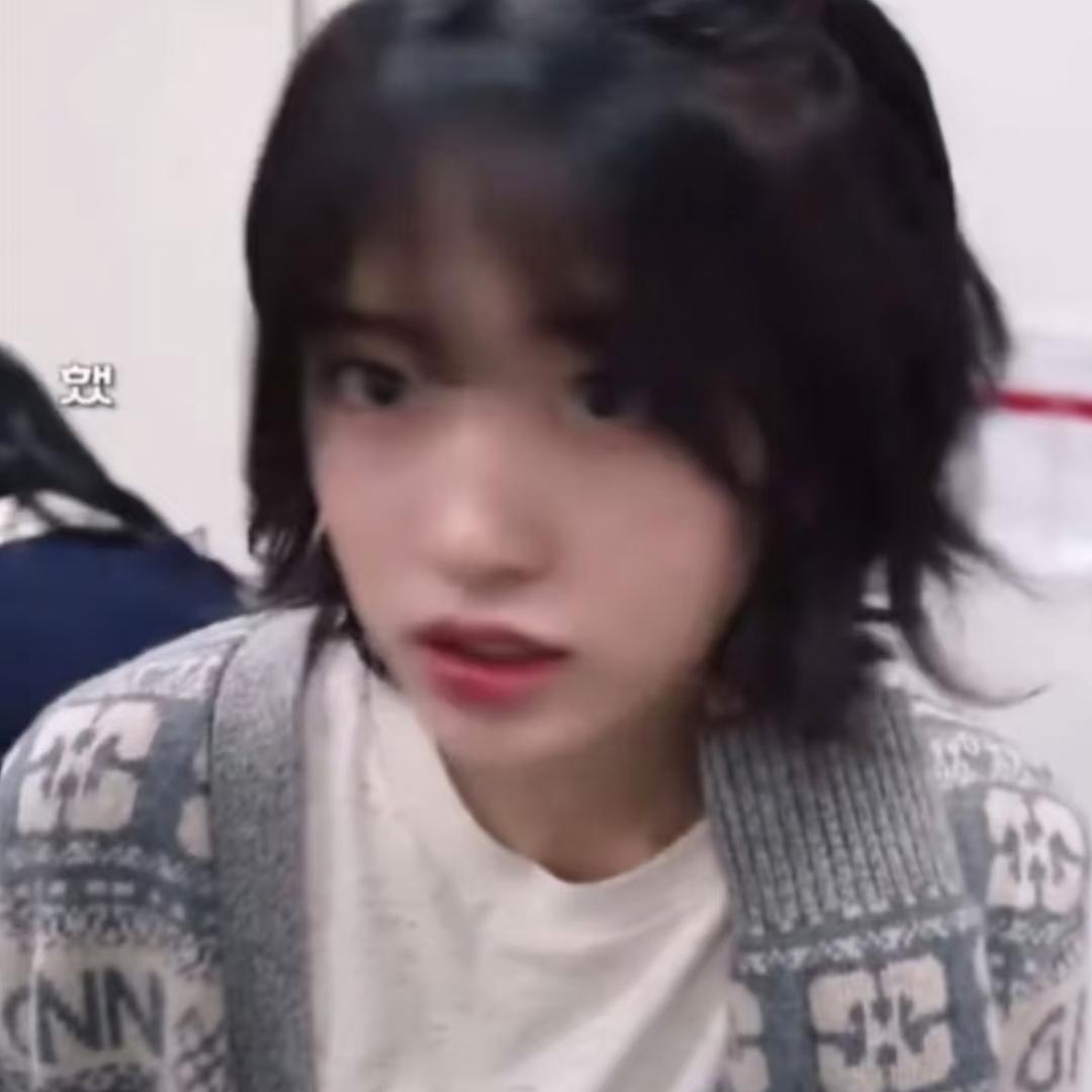 布丁狗大王