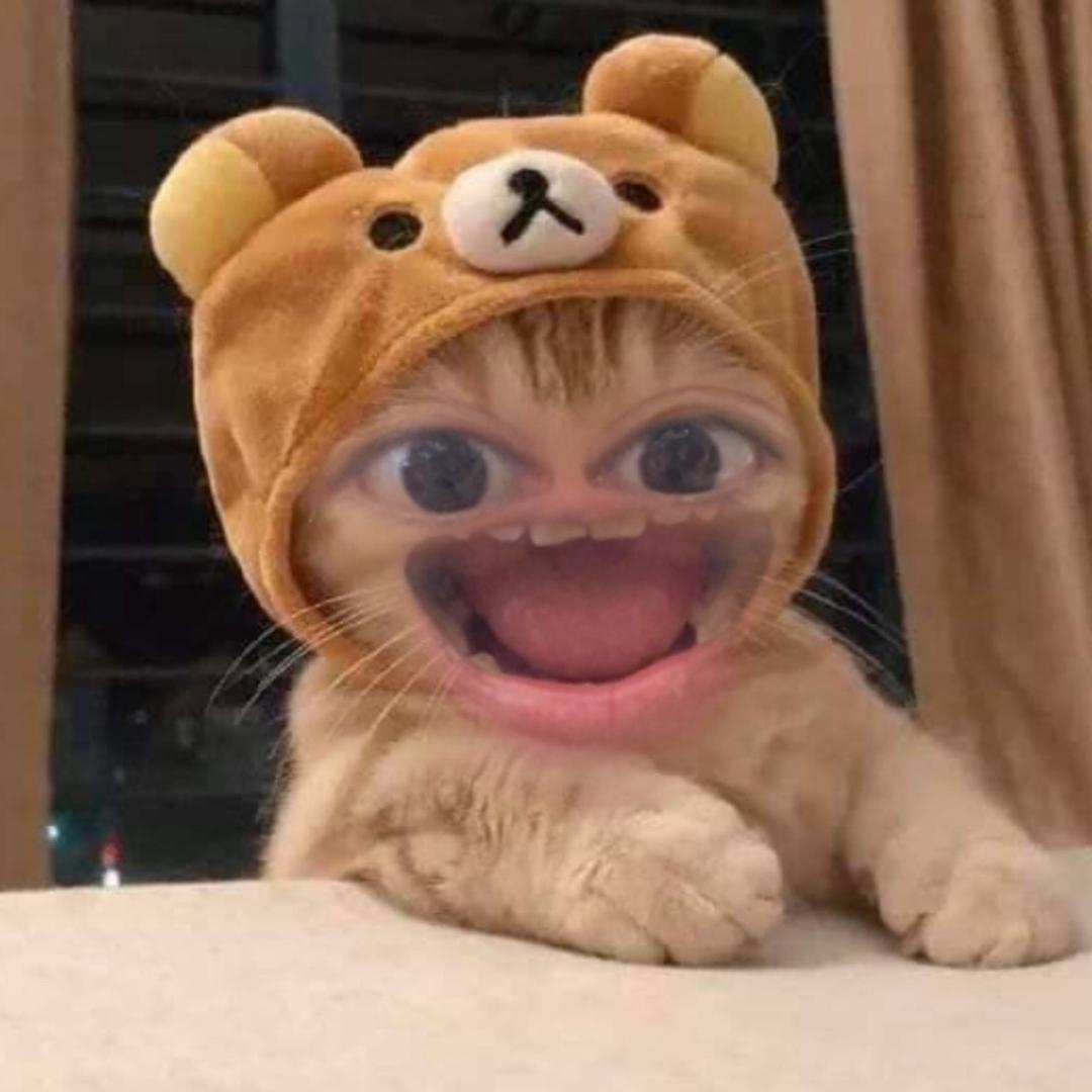 我们不是好朋友吗？