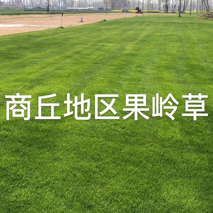 老兵草坪基地