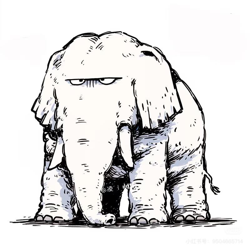 。。。。。。。。。