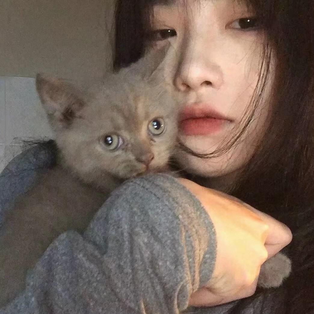 美少吕