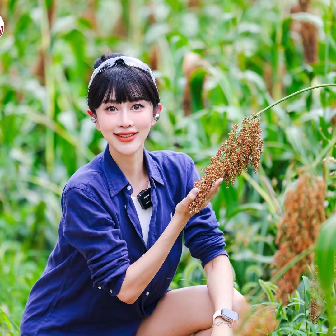 徐博士的清流生活