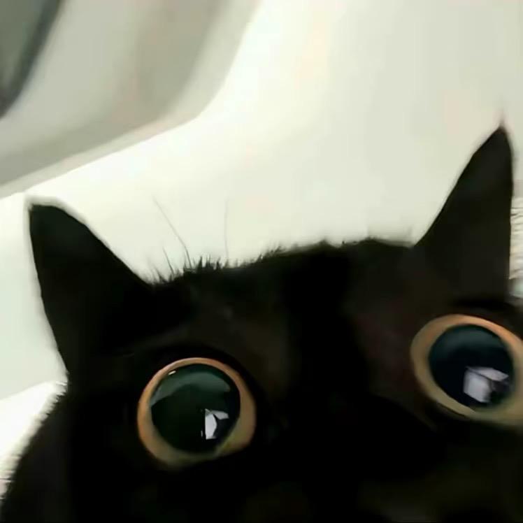 -L