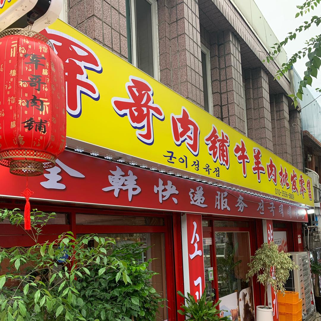 高掌柜