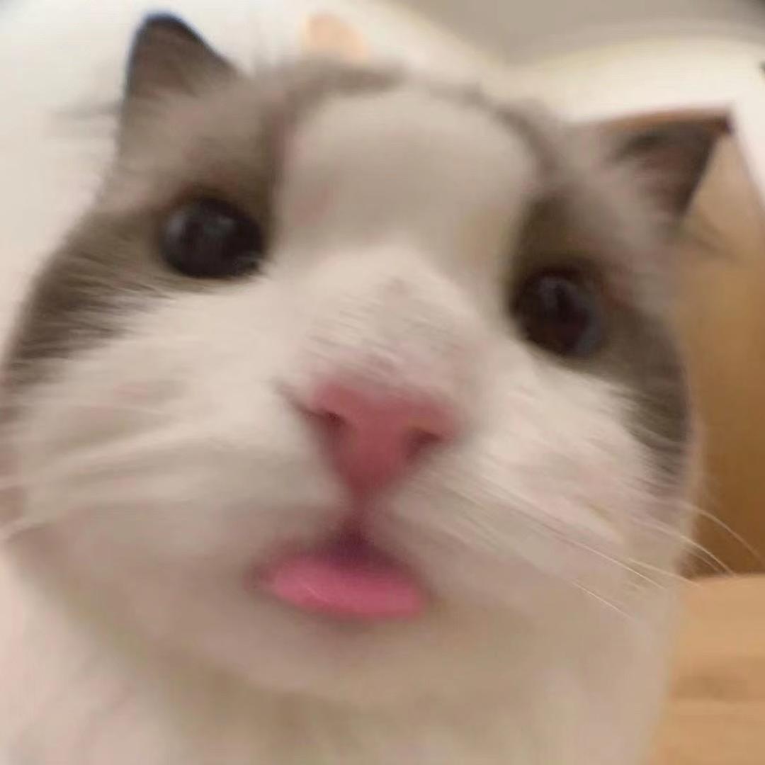 过年吃大鱼🐠【你有没有食品安全焦虑？】