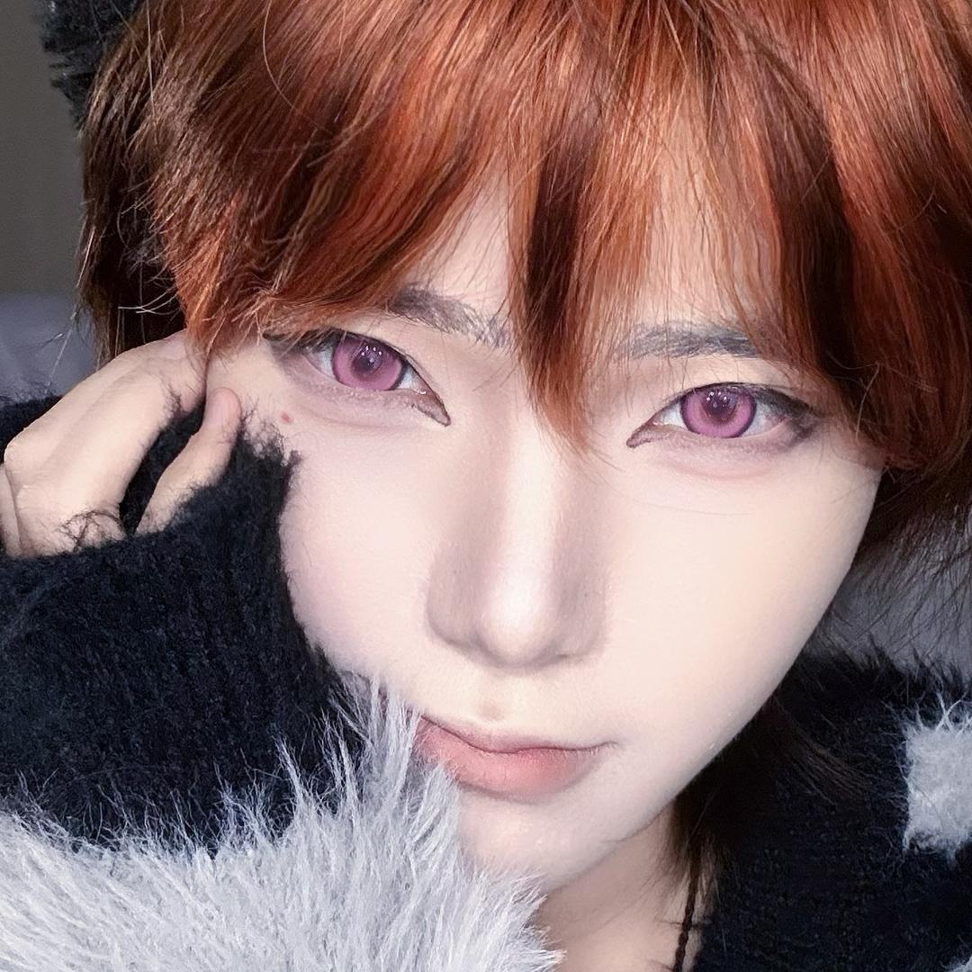 朱猪（求推荐！