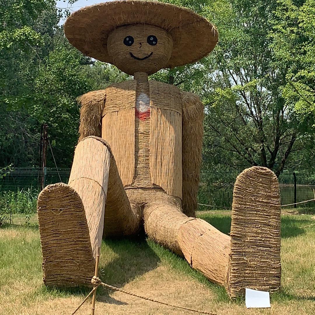小黑球