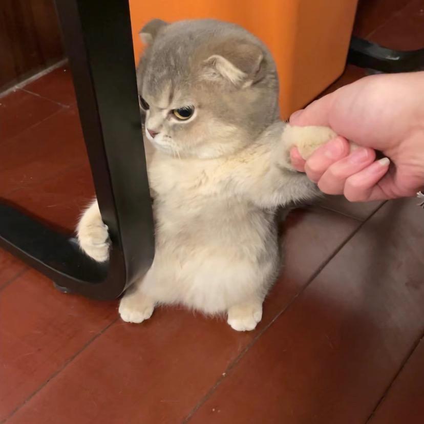 绥山镇容祖儿🐝、