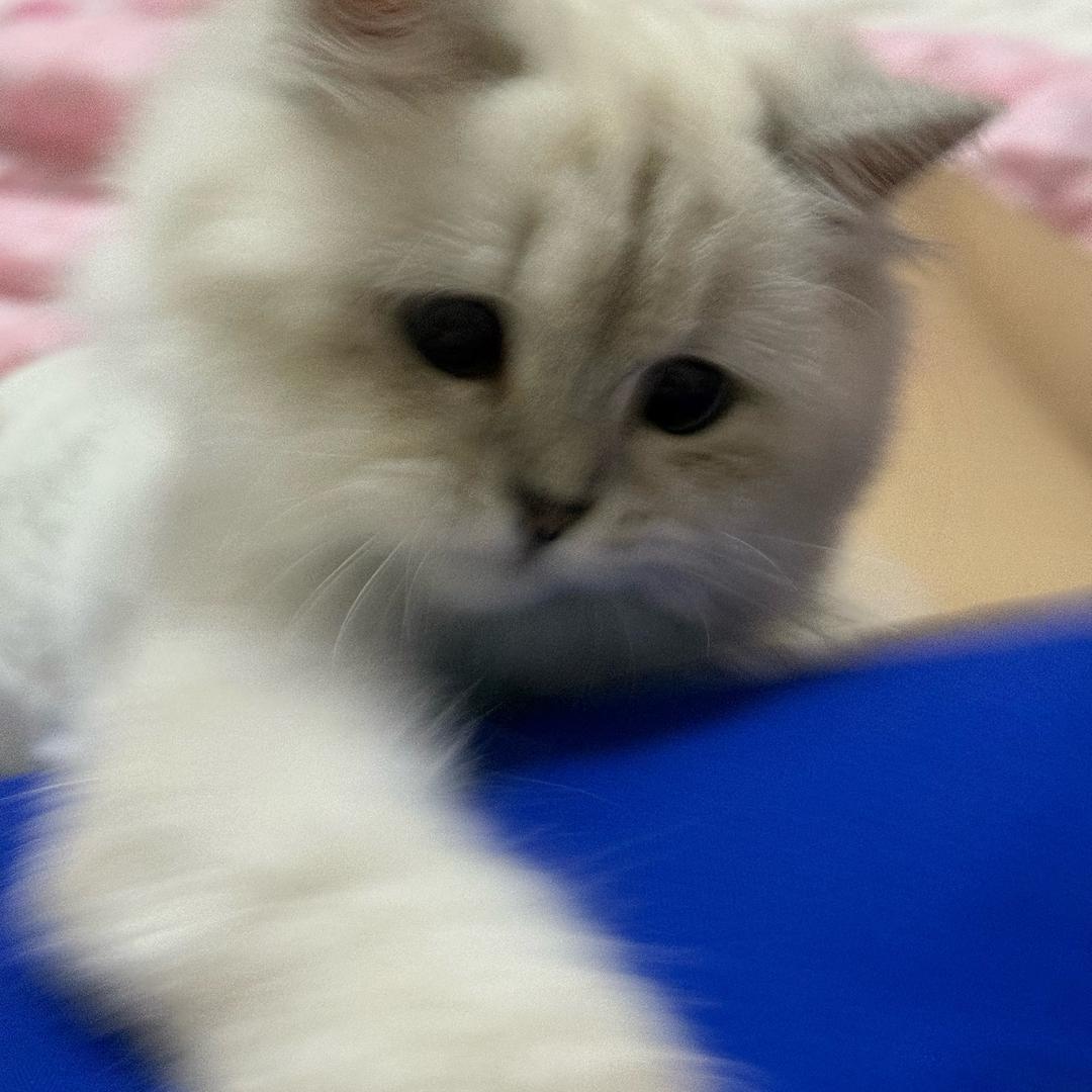 气筒子