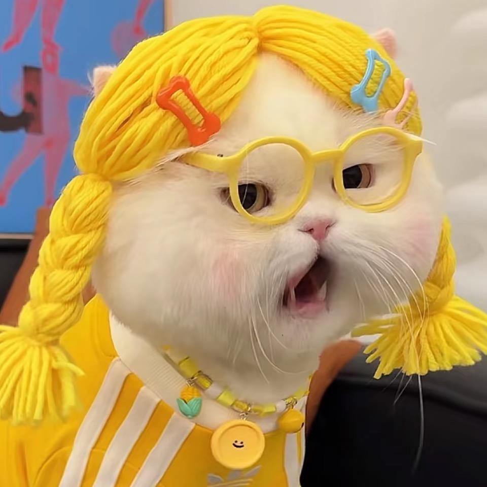 大花的团团子呀