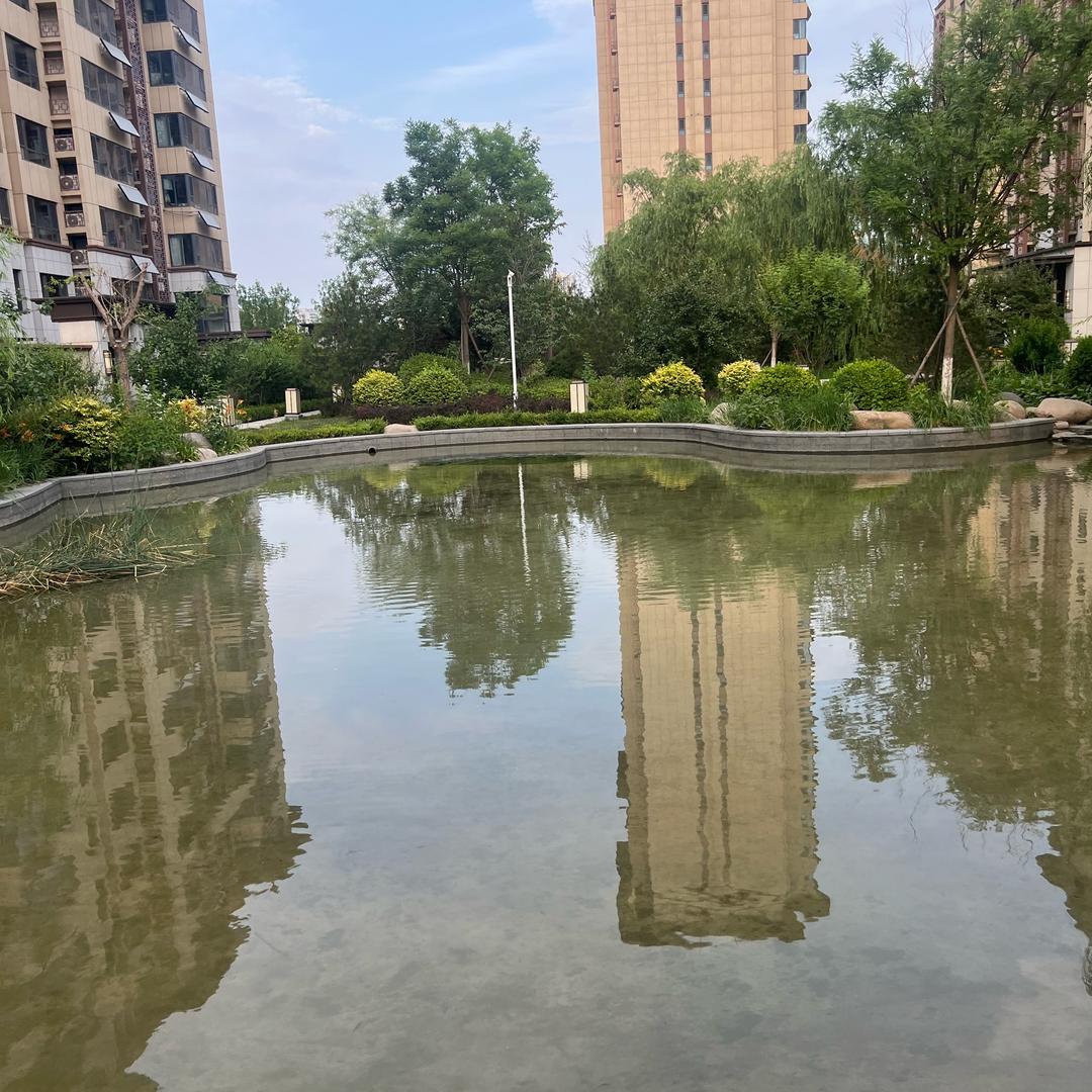 灵羽