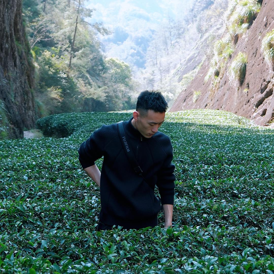 武夷山壹方岩骨茶业